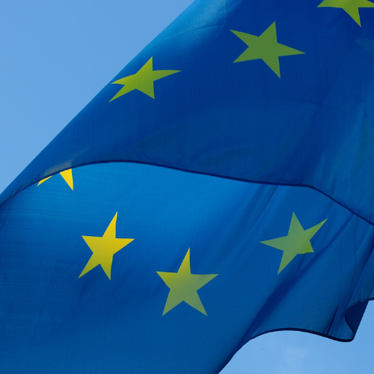 HUMAN RIGHTS AND THE EUROPEAN SOCIAL CHARTER  - CSE